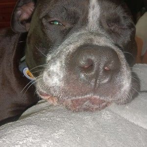 Meet your Posher, Kathleen